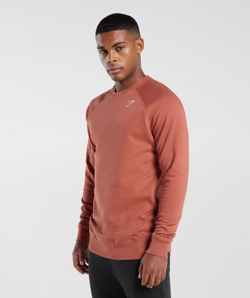 Pullovers Gymshark Crest Sweatshirt Rojas | WYEZM0864