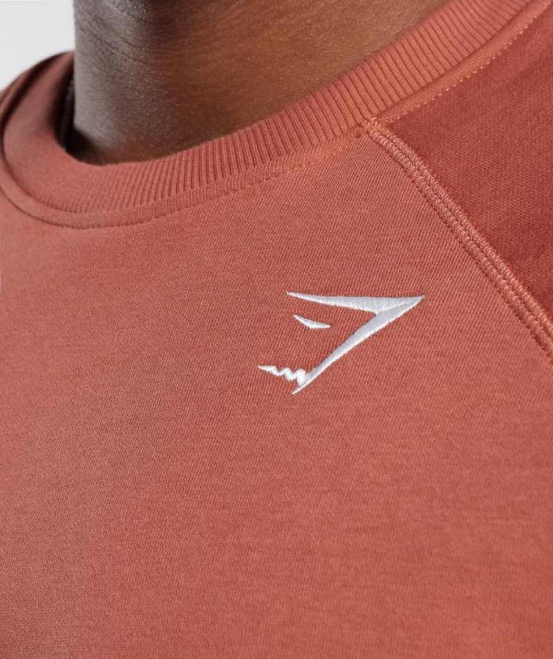 Pullovers Gymshark Crest Sweatshirt Rojas | WYEZM0864