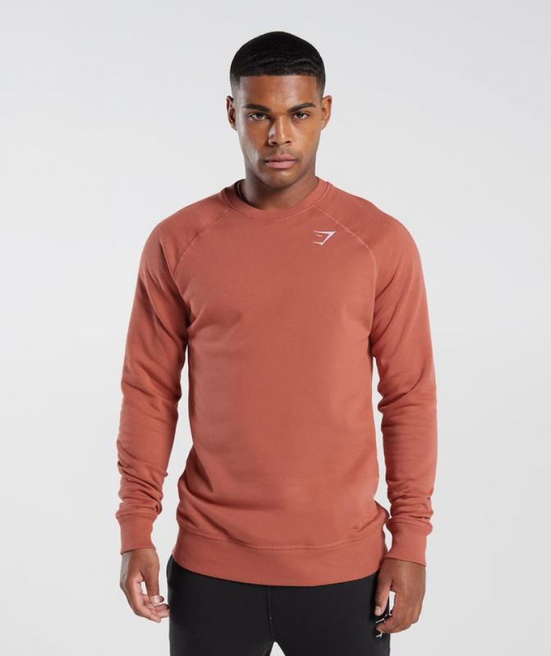 Pullovers Gymshark Crest Sweatshirt Rojas | WYEZM0864