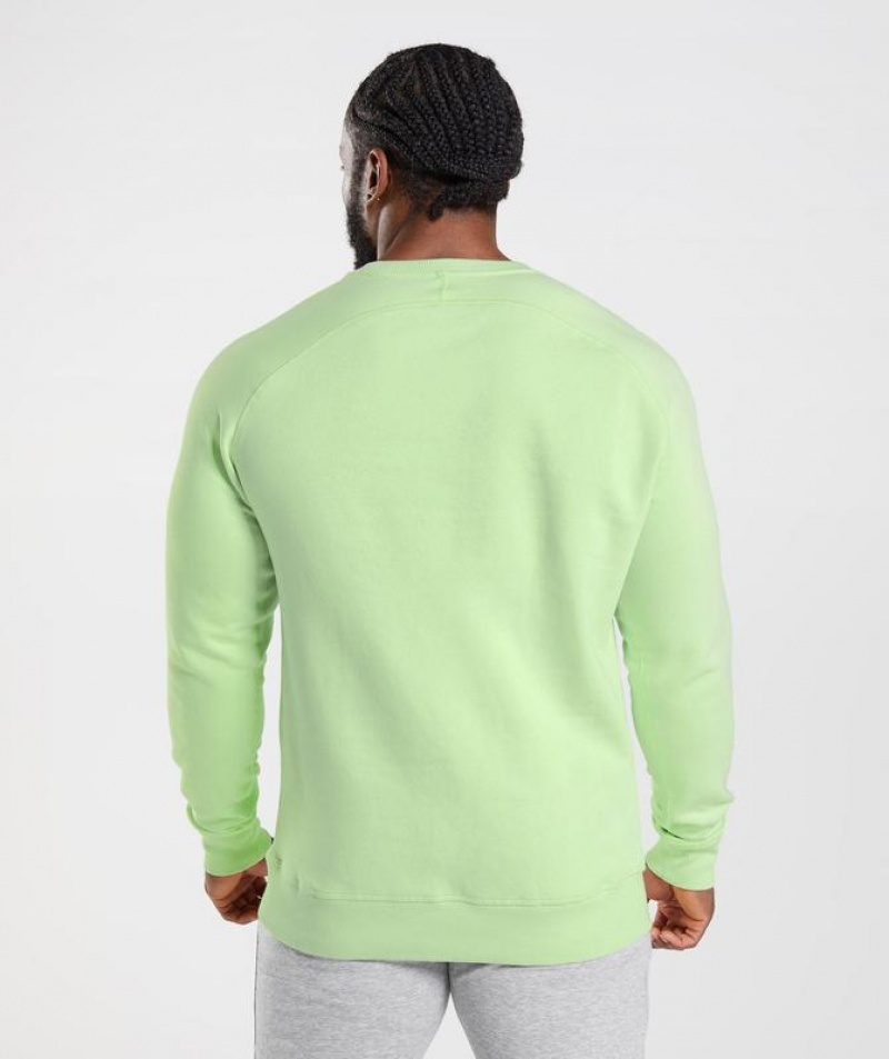 Pullovers Gymshark Crest Sweatshirt Verde | HGXWP9743