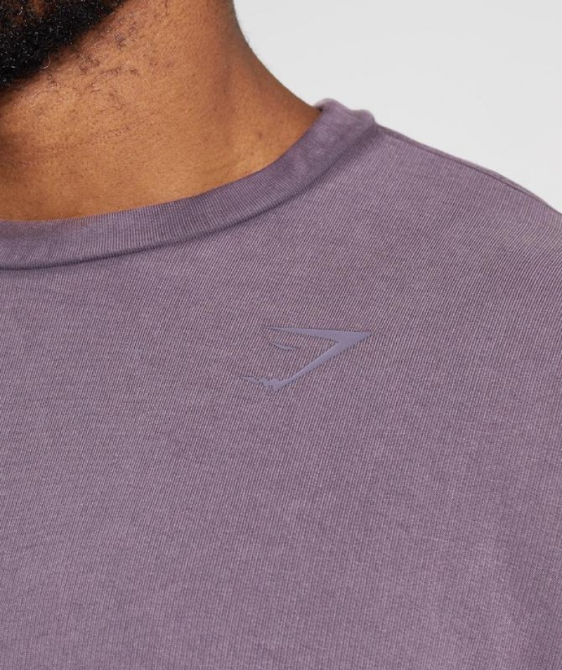 Pullovers Gymshark Power Washed Crew Musk Lilac | DUTKG8071