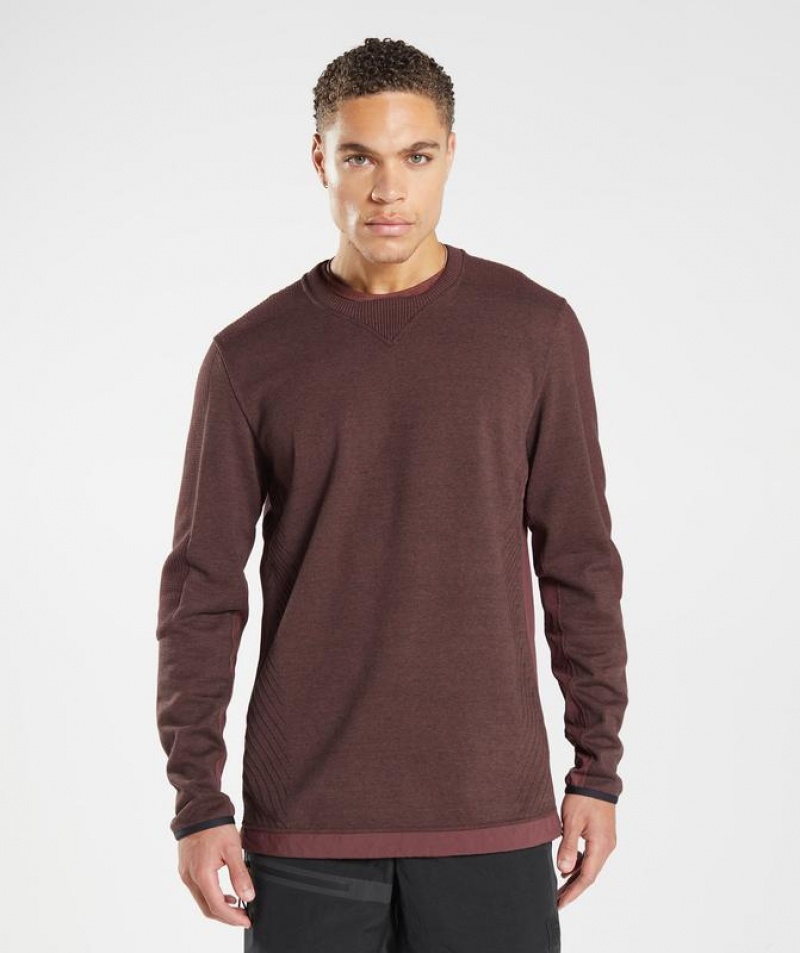 Pullovers Gymshark Retake Crew Marrones | WUABP0146