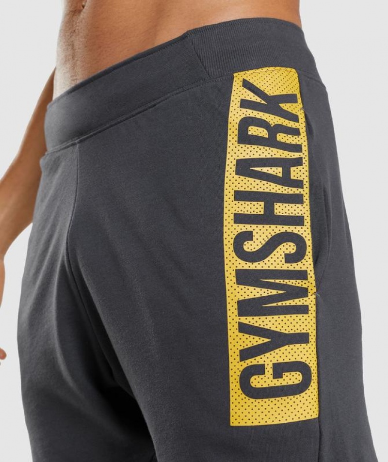 Short Gymshark Bold Shorts Gris | PWGIK2574