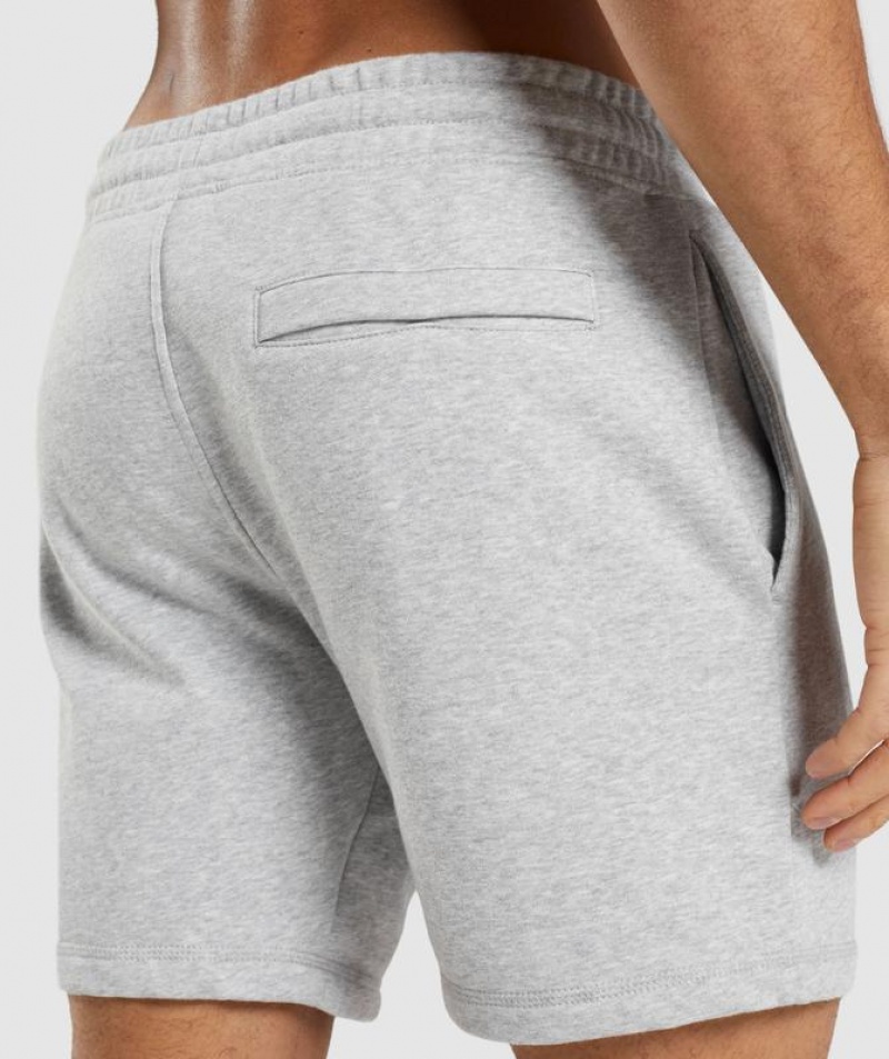 Short Gymshark Crest Shorts Gris Claro | CVMPZ2478