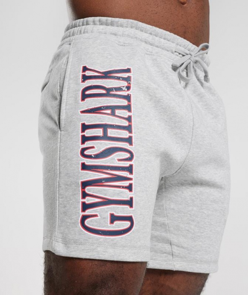 Short Gymshark Retrowave Shorts Gris Claro | OHQSI5634