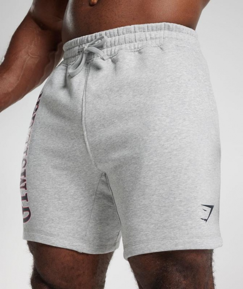 Short Gymshark Retrowave Shorts Gris Claro | OHQSI5634