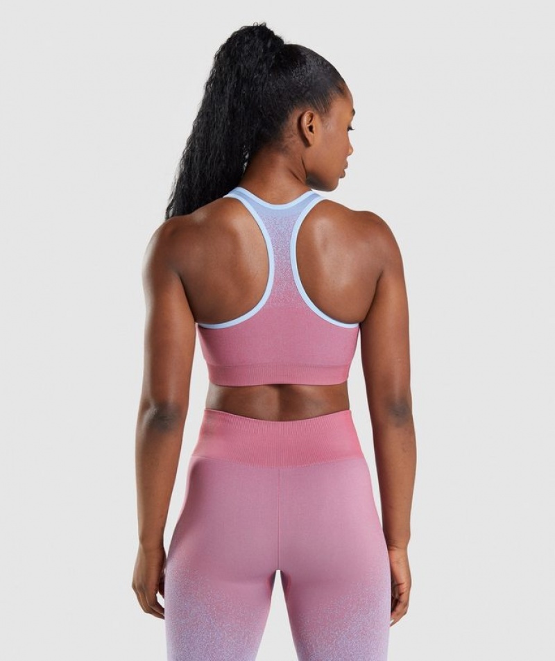 Sports Bras Gymshark Adapt Ombre Seamless Sports Bra Rosas Azules | ROATF9130