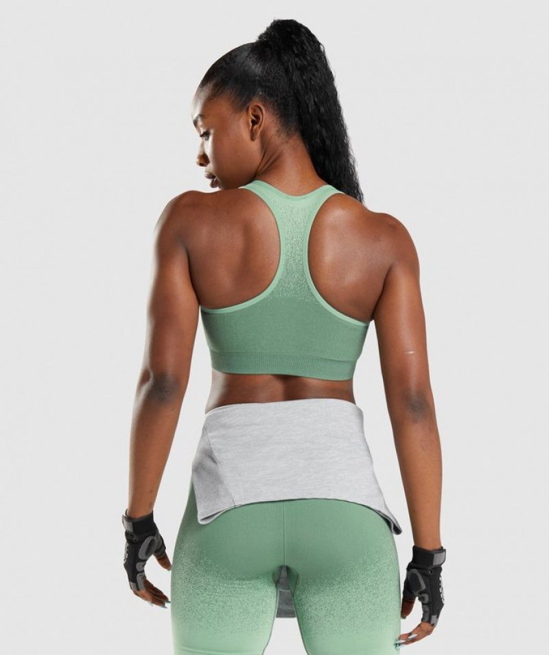 Sports Bras Gymshark Adapt Ombre Seamless Sports Bra Verde | GFERL2807