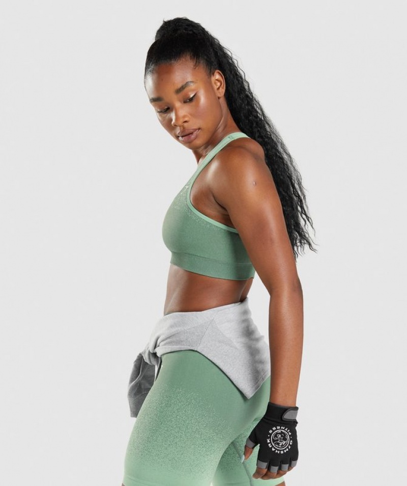 Sports Bras Gymshark Adapt Ombre Seamless Sports Bra Verde | GFERL2807