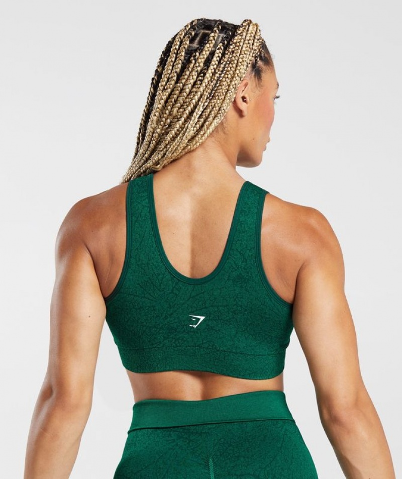 Sports Bras Gymshark Adapt Pattern Seamless Longline Bra Verde | LGJVR4579