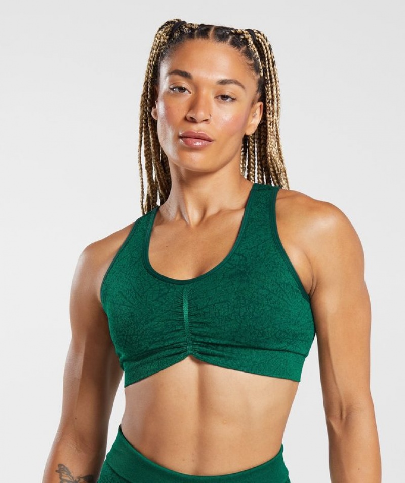 Sports Bras Gymshark Adapt Pattern Seamless Longline Bra Verde | LGJVR4579