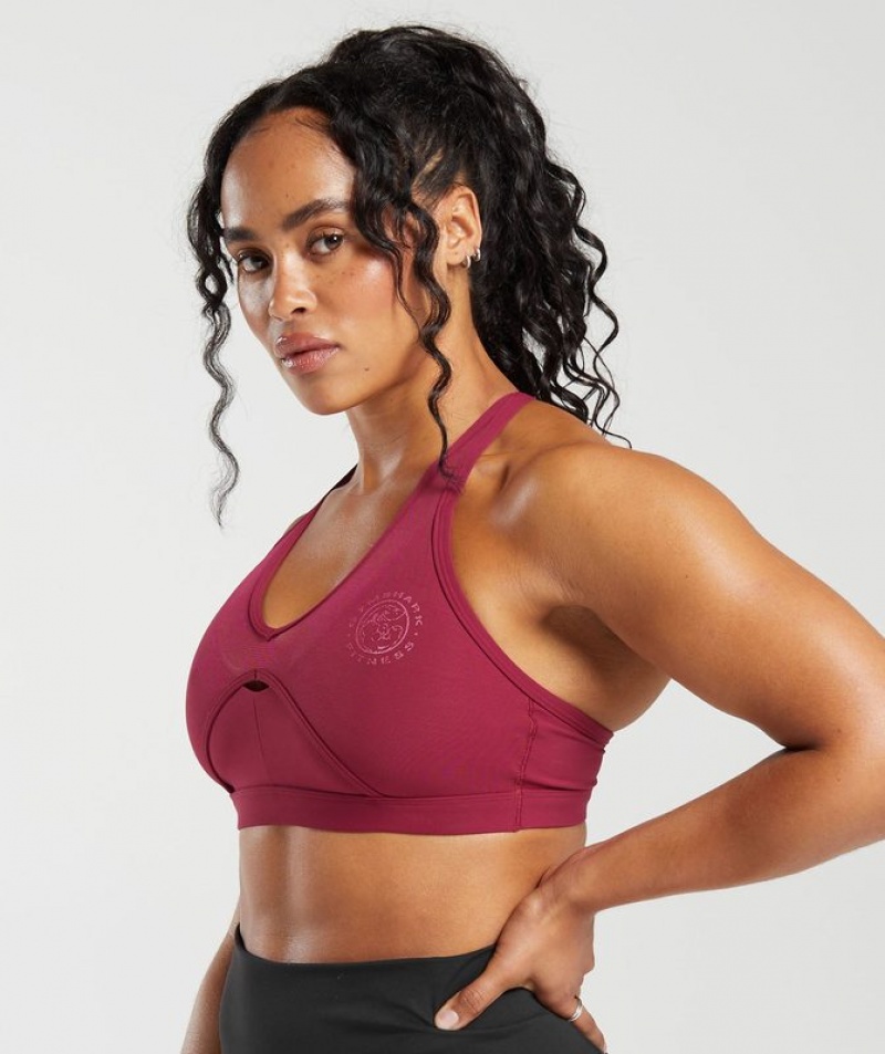 Sports Bras Gymshark Legacy T-Bar Sports Bra Rosas | MTPQV2038