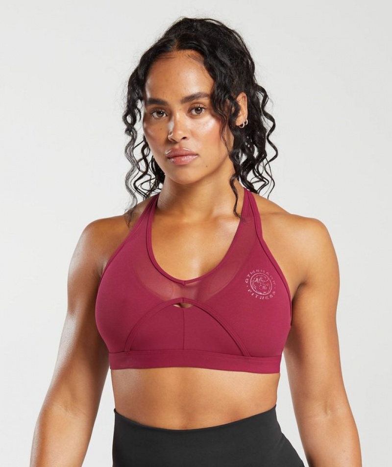 Sports Bras Gymshark Legacy T-Bar Sports Bra Rosas | MTPQV2038