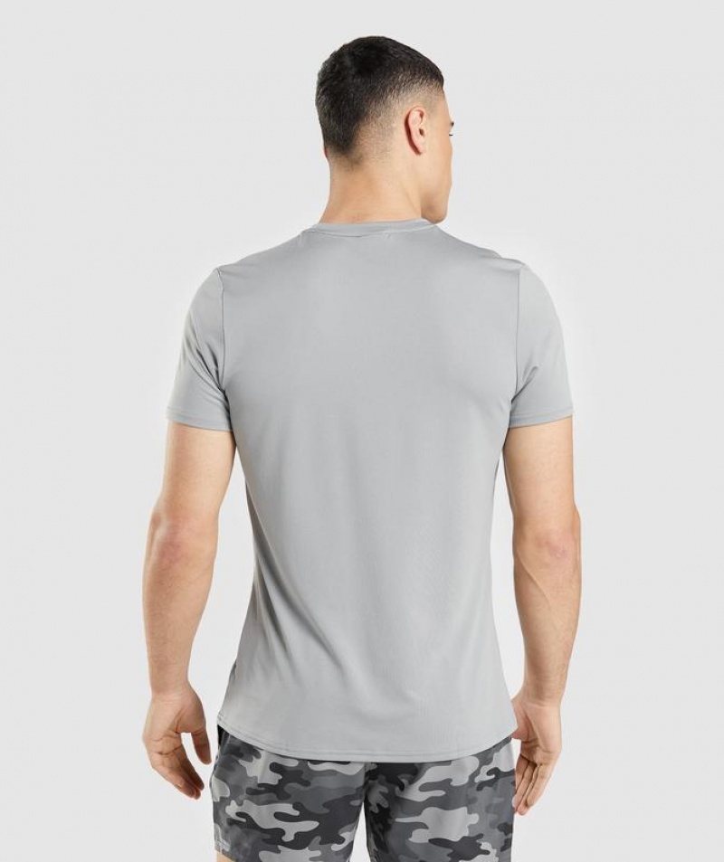 T-Shirts Gymshark Arrival Estampadas T-Shirt Gris | LAQKE1864