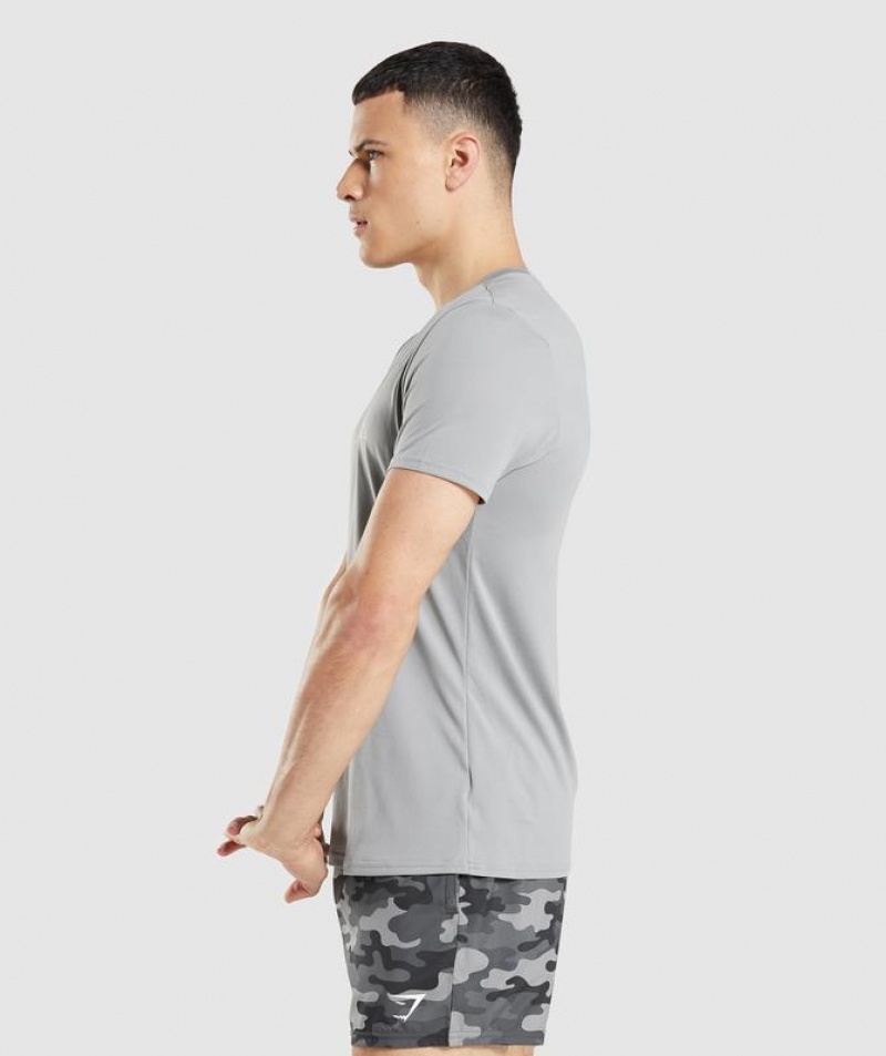 T-Shirts Gymshark Arrival Estampadas T-Shirt Gris | LAQKE1864