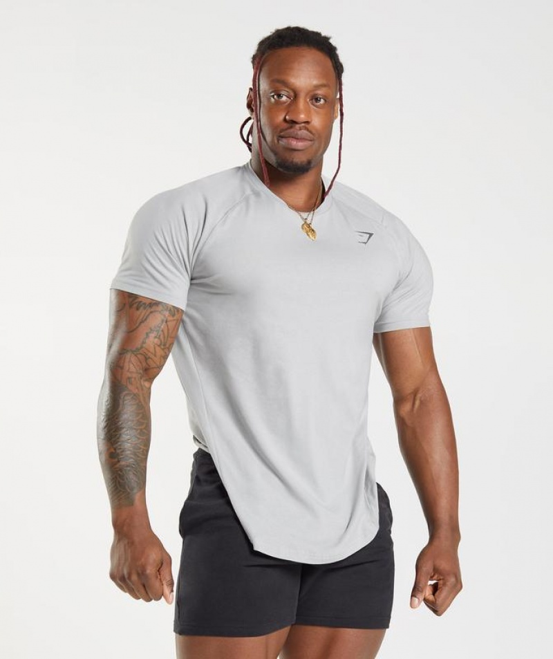 T-Shirts Gymshark Bold T-Shirt Gris Claro | YUHGX3289