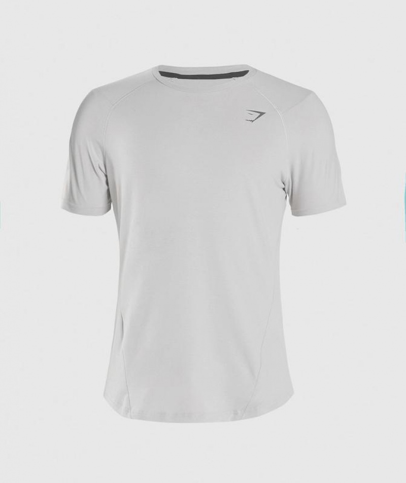 T-Shirts Gymshark Bold T-Shirt Gris Claro | YUHGX3289