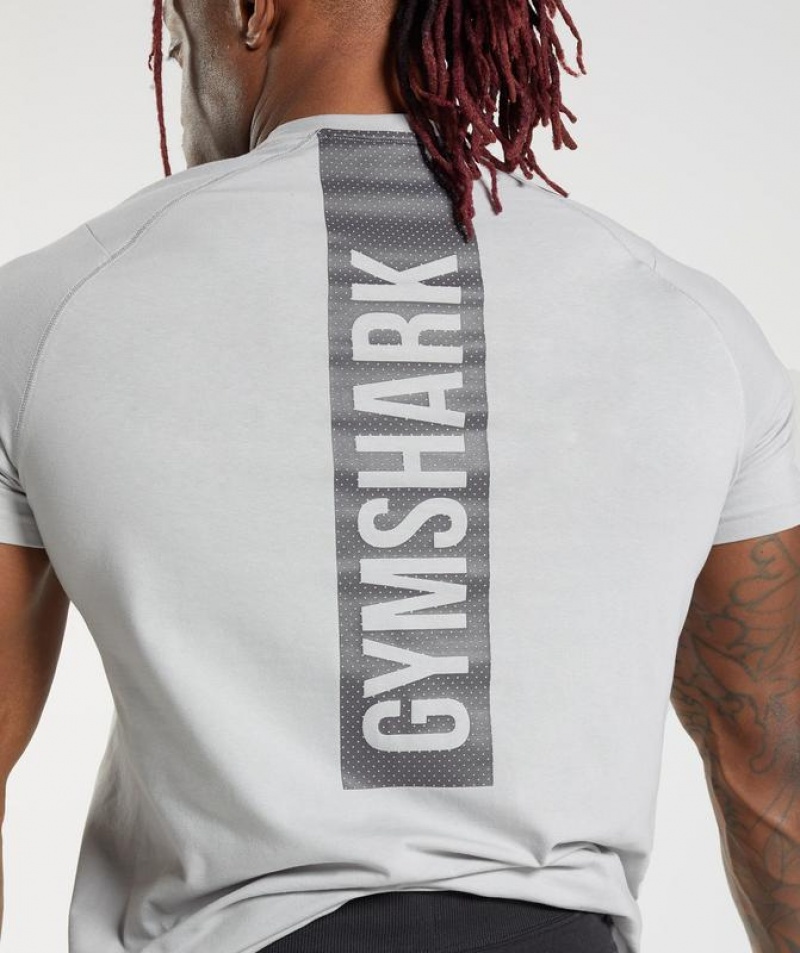 T-Shirts Gymshark Bold T-Shirt Gris Claro | YUHGX3289