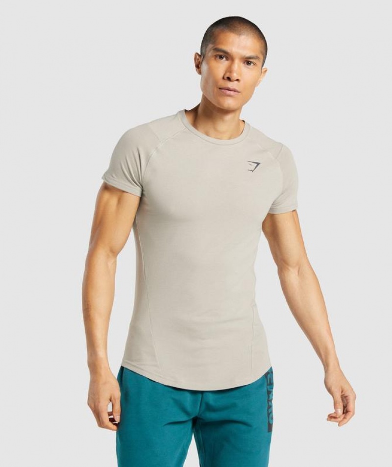 T-Shirts Gymshark Bold T-Shirt Gris | SIMJV4819