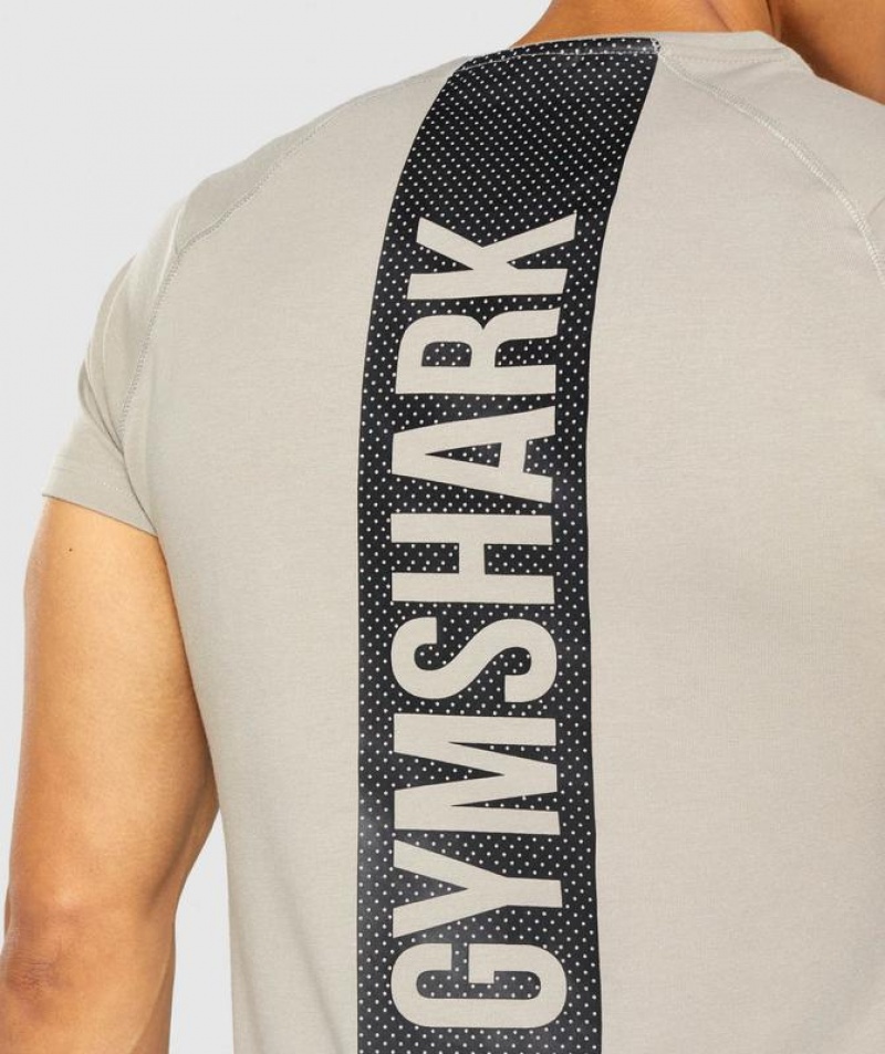 T-Shirts Gymshark Bold T-Shirt Gris | SIMJV4819