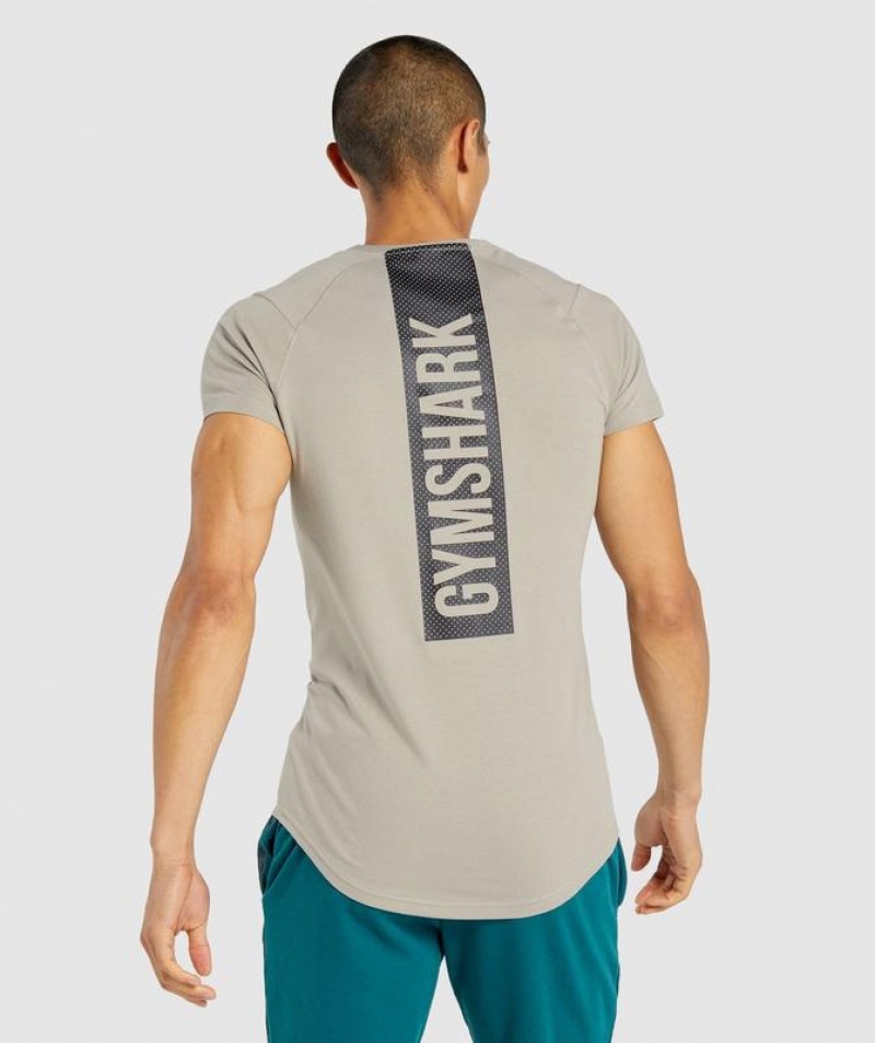 T-Shirts Gymshark Bold T-Shirt Gris | SIMJV4819