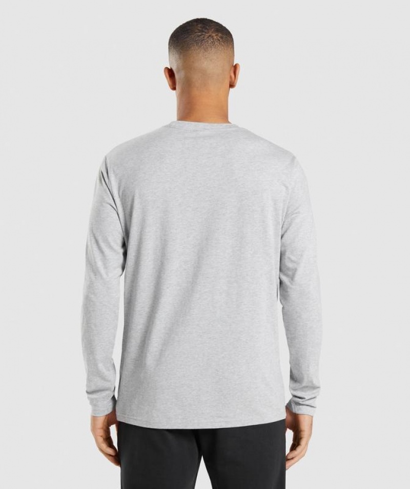 T-Shirts Gymshark Crest Long Sleeve T-Shirt Gris Claro | SKLTE5740