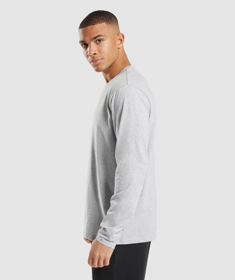 T-Shirts Gymshark Crest Long Sleeve T-Shirt Gris Claro | SKLTE5740