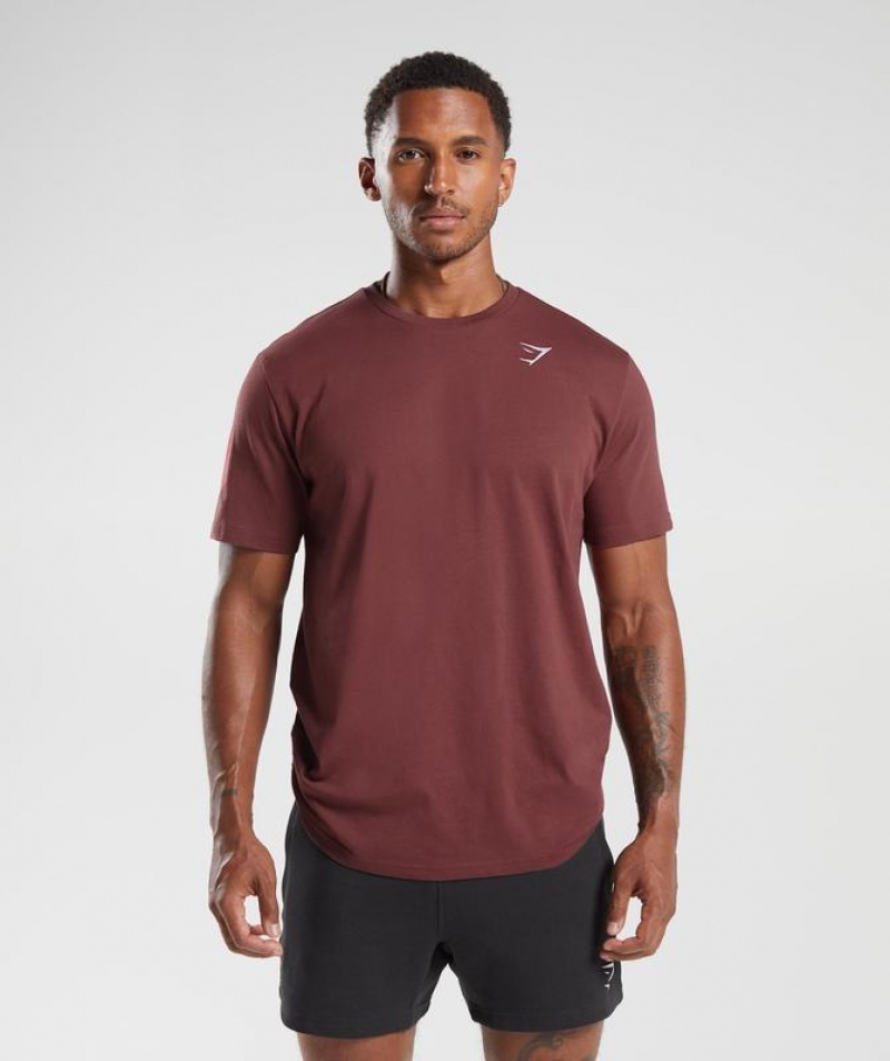 T-Shirts Gymshark Crest T-Shirt Burdeos | WLKQT3074