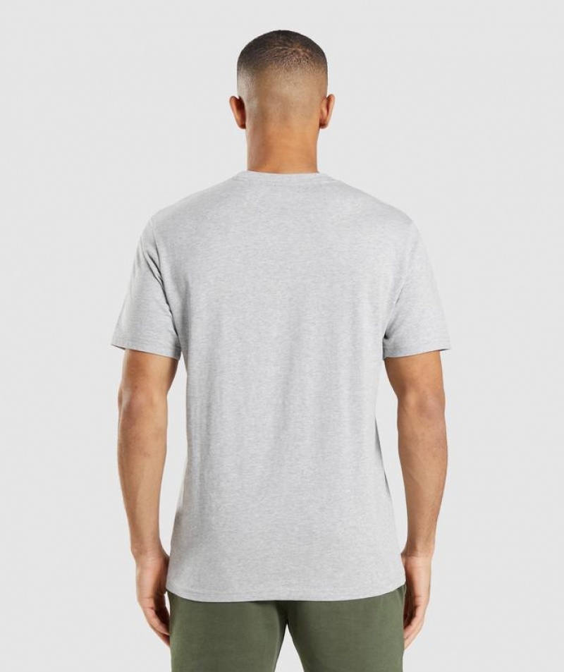 T-Shirts Gymshark Crest T-Shirt Gris Claro | RDQCP0413