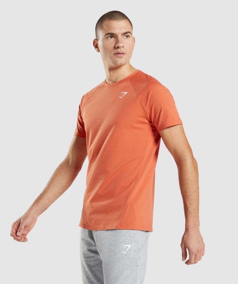 T-Shirts Gymshark Critical T-Shirt Naranjas | YHWSP7843