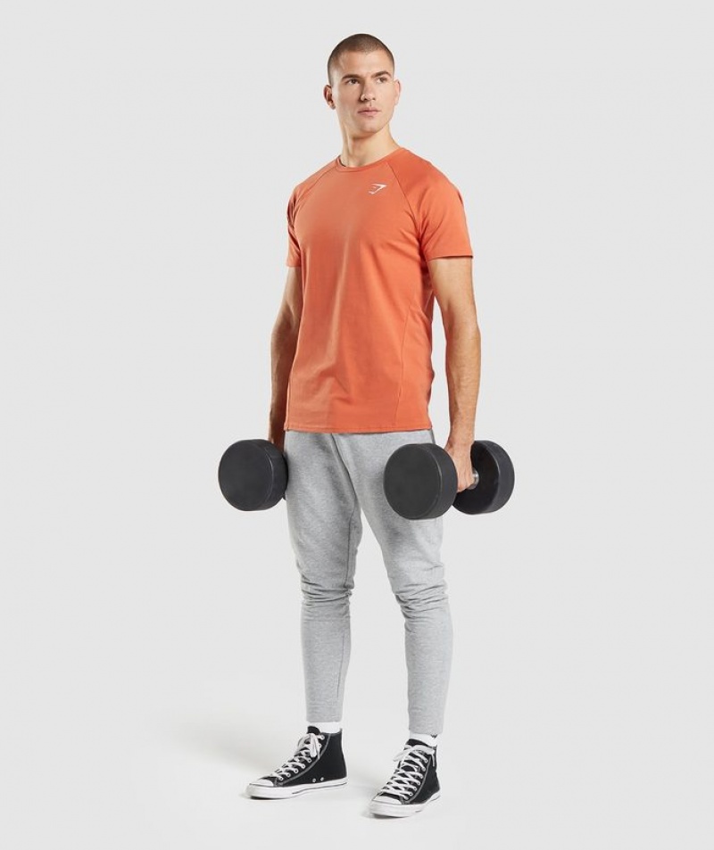 T-Shirts Gymshark Critical T-Shirt Naranjas | YHWSP7843