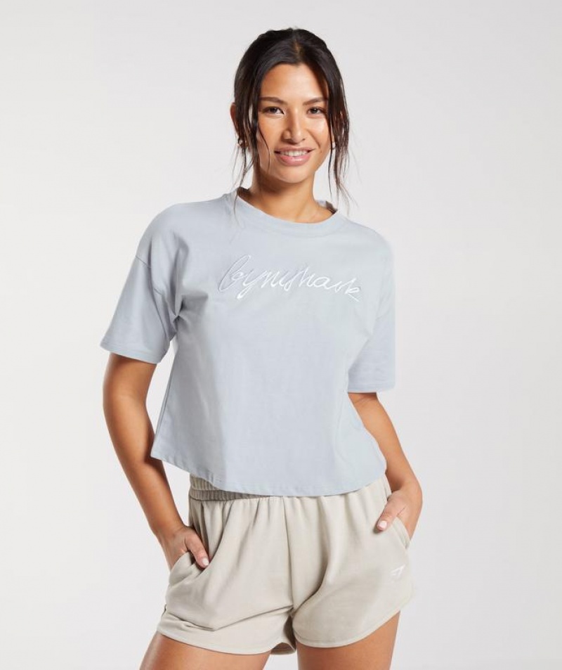 T-Shirts Gymshark Embroidered Estampadas Midi T-Shirt Gris | ZBFQR3812