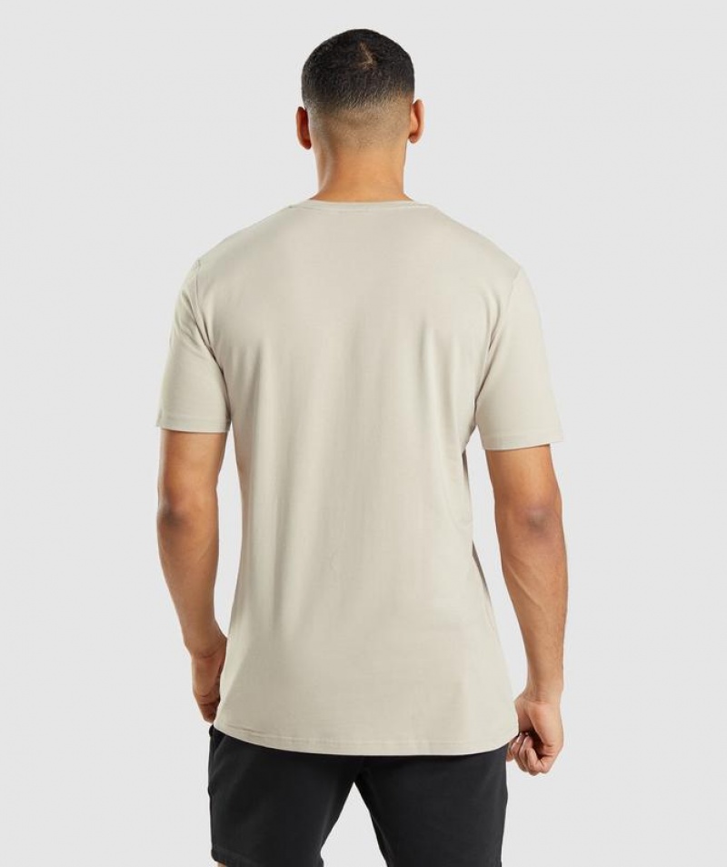 T-Shirts Gymshark Essential T-Shirt Gris | JMEXC7438