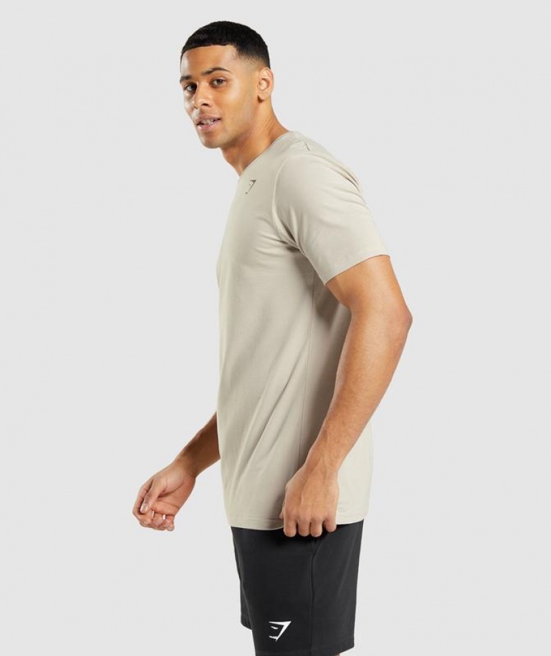 T-Shirts Gymshark Essential T-Shirt Gris | JMEXC7438