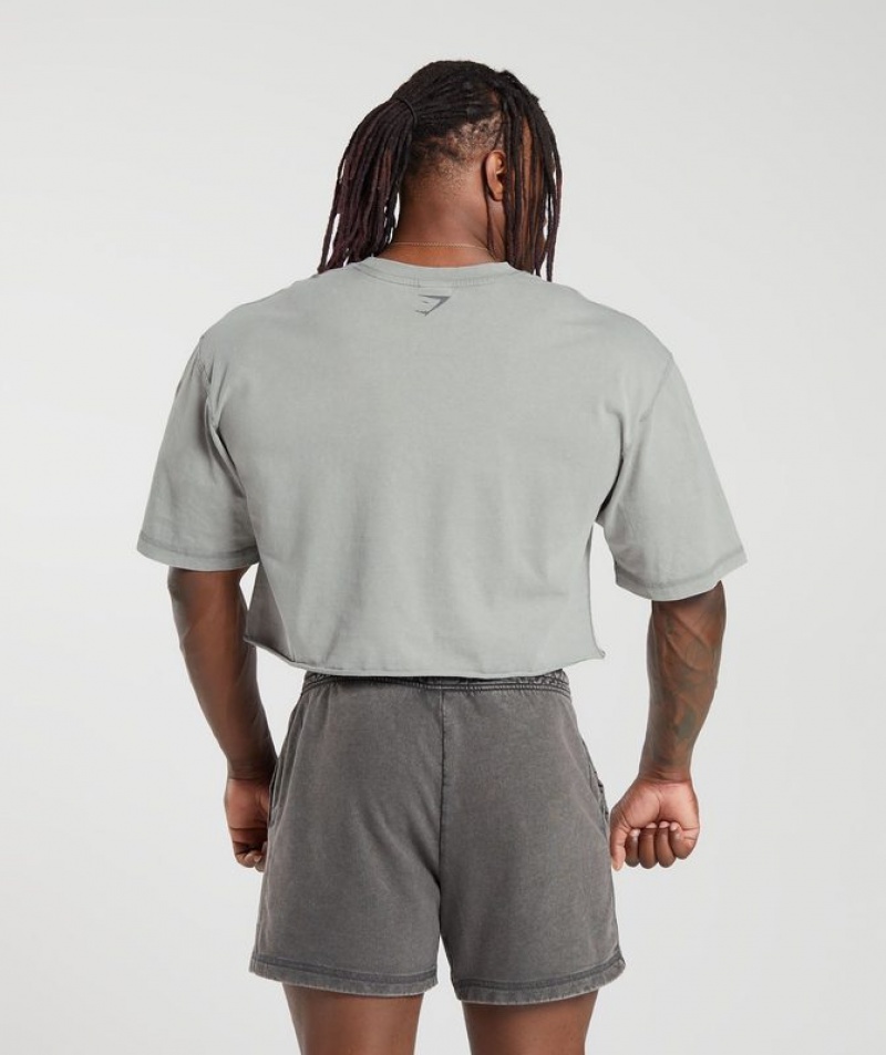 T-Shirts Gymshark Heritage Washed Crop T-Shirt Gris | WRZGD6591