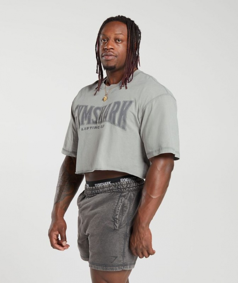 T-Shirts Gymshark Heritage Washed Crop T-Shirt Gris | WRZGD6591