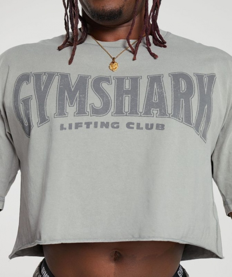 T-Shirts Gymshark Heritage Washed Crop T-Shirt Gris | WRZGD6591