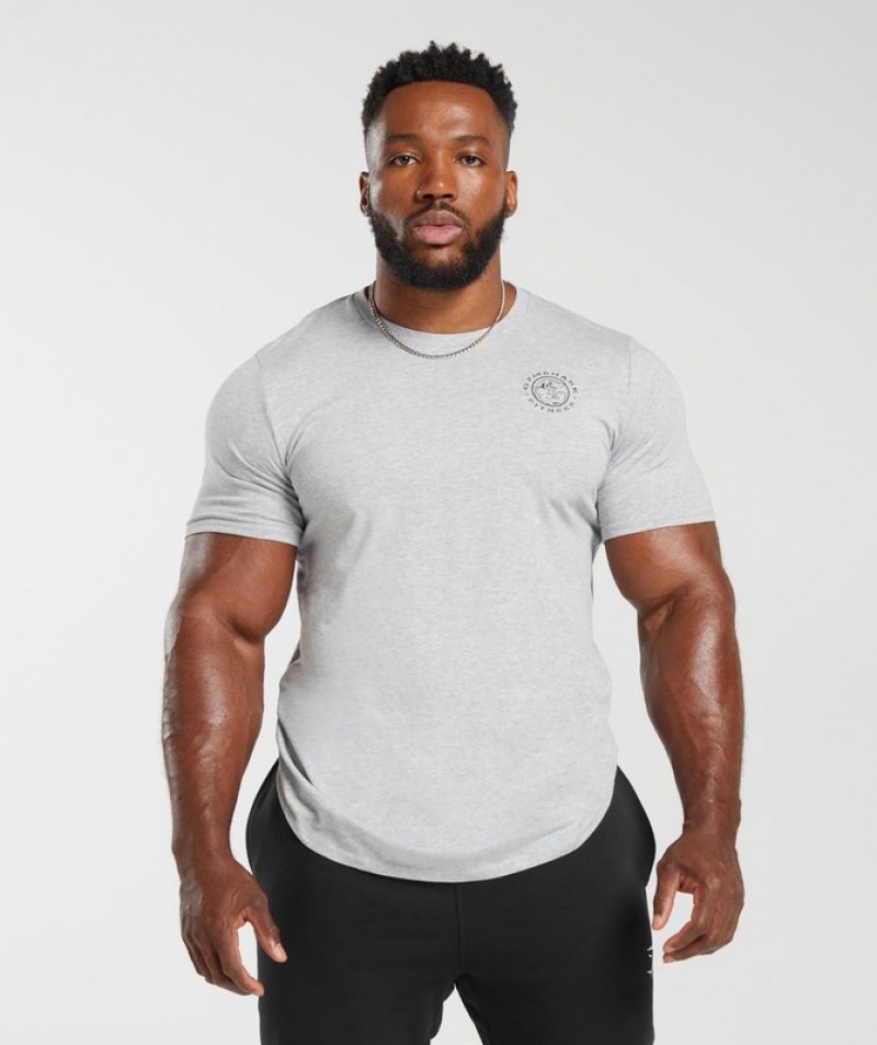 T-Shirts Gymshark Legacy T-Shirt Gris Claro | BTDVH2148