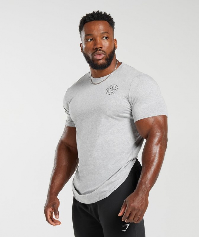 T-Shirts Gymshark Legacy T-Shirt Gris Claro | BTDVH2148