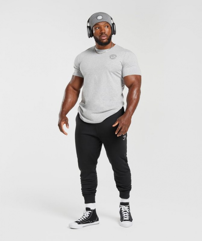 T-Shirts Gymshark Legacy T-Shirt Gris Claro | BTDVH2148