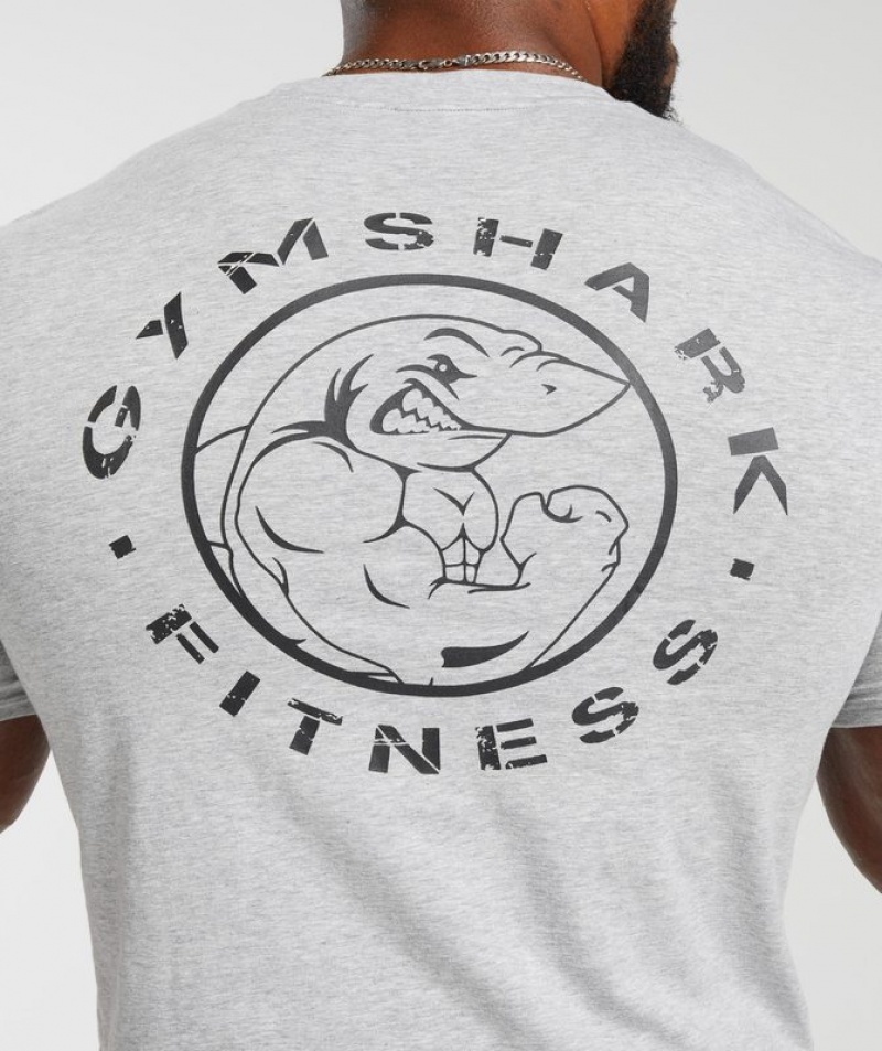 T-Shirts Gymshark Legacy T-Shirt Gris Claro | BTDVH2148