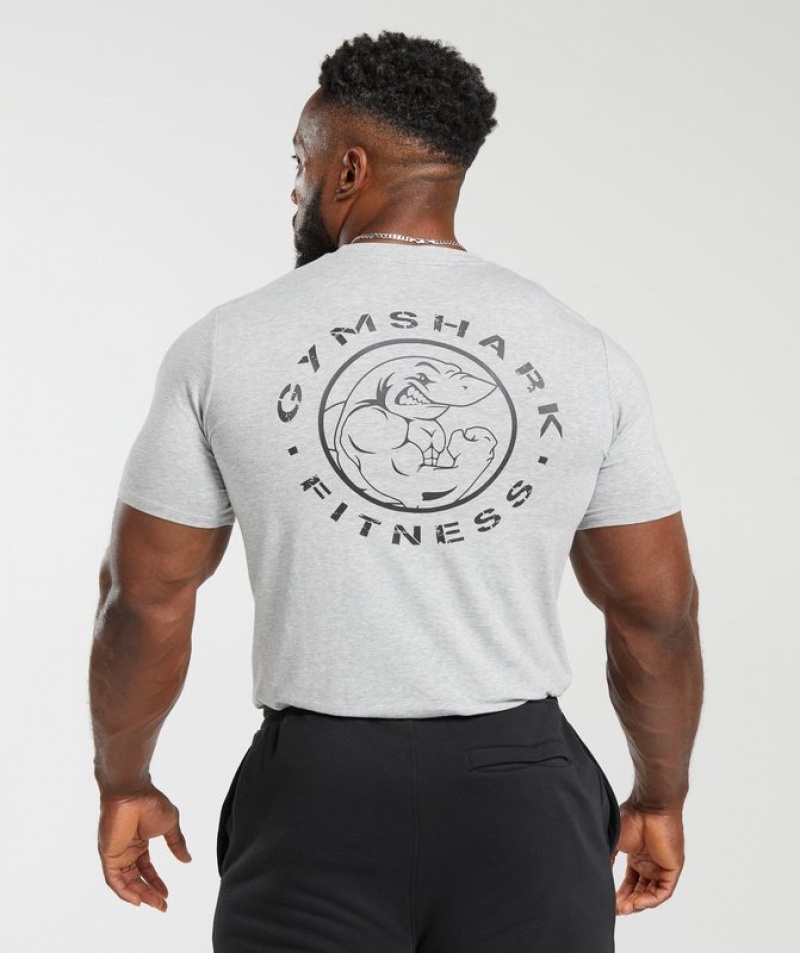 T-Shirts Gymshark Legacy T-Shirt Gris Claro | BTDVH2148