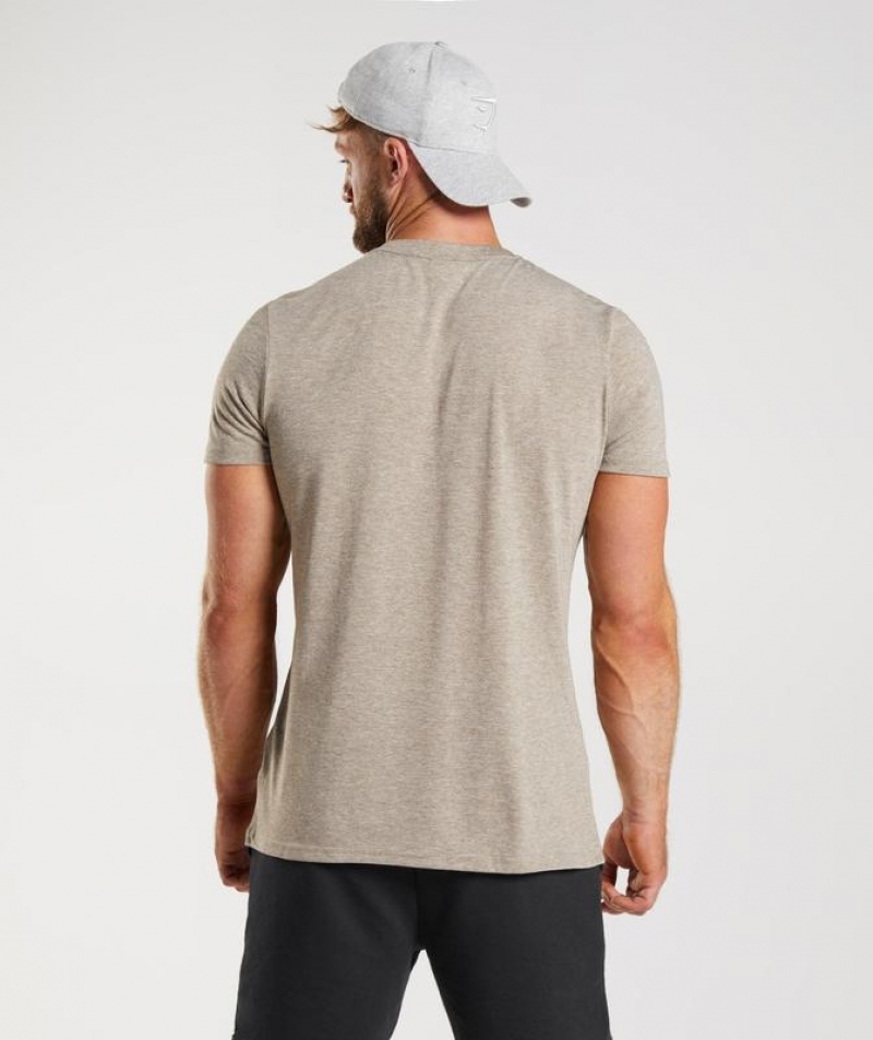 T-Shirts Gymshark Legacy T-Shirt Limestone Marl | SQBWK2471