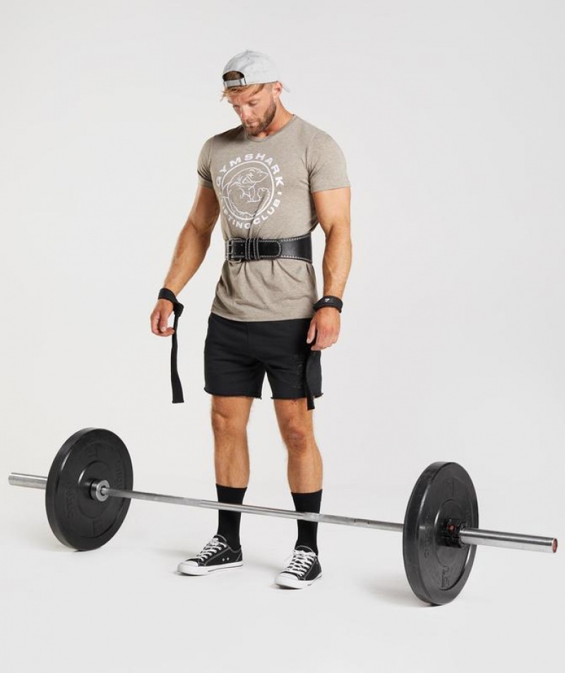 T-Shirts Gymshark Legacy T-Shirt Limestone Marl | SQBWK2471