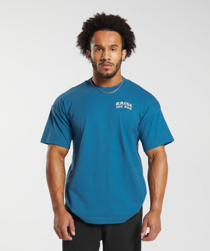 T-Shirts Gymshark Raise the Bar T-Shirt Azules | PALVZ0932