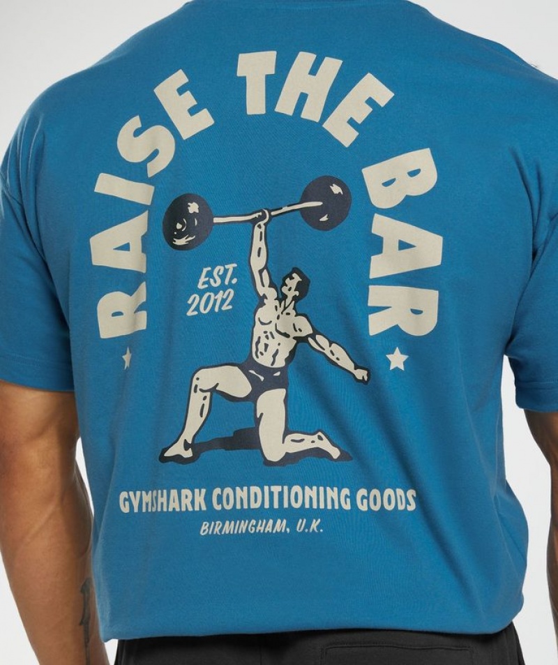 T-Shirts Gymshark Raise the Bar T-Shirt Azules | PALVZ0932