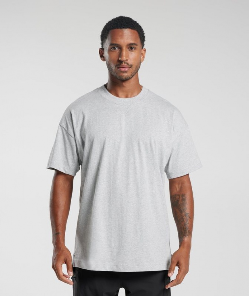 T-Shirts Gymshark Rest Day Essentials T-Shirt Gris Claro | NMRBK4758