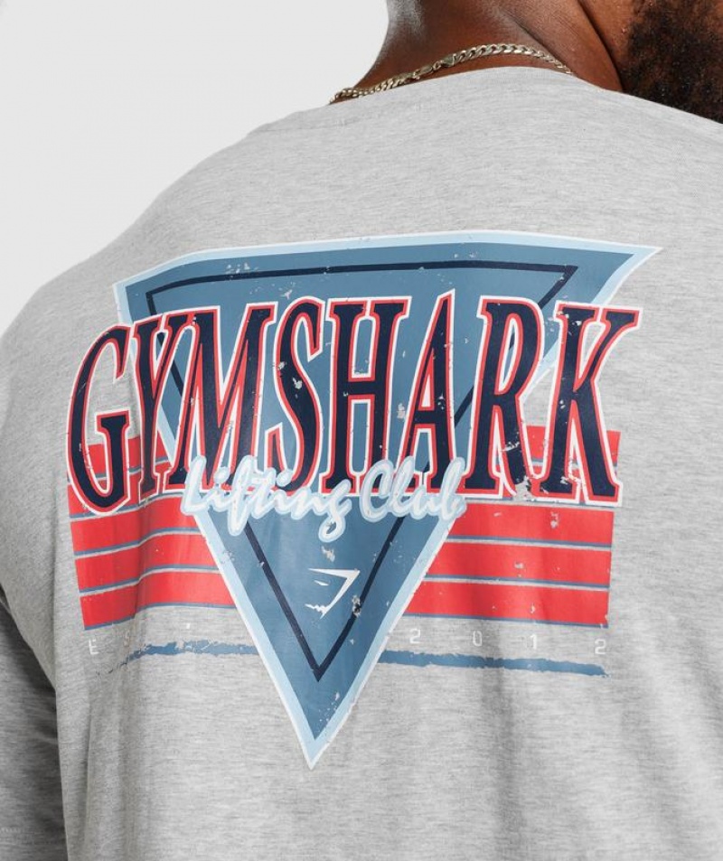 T-Shirts Gymshark Retrowave Crop T-Shirt Gris Claro | ZNEWU7684