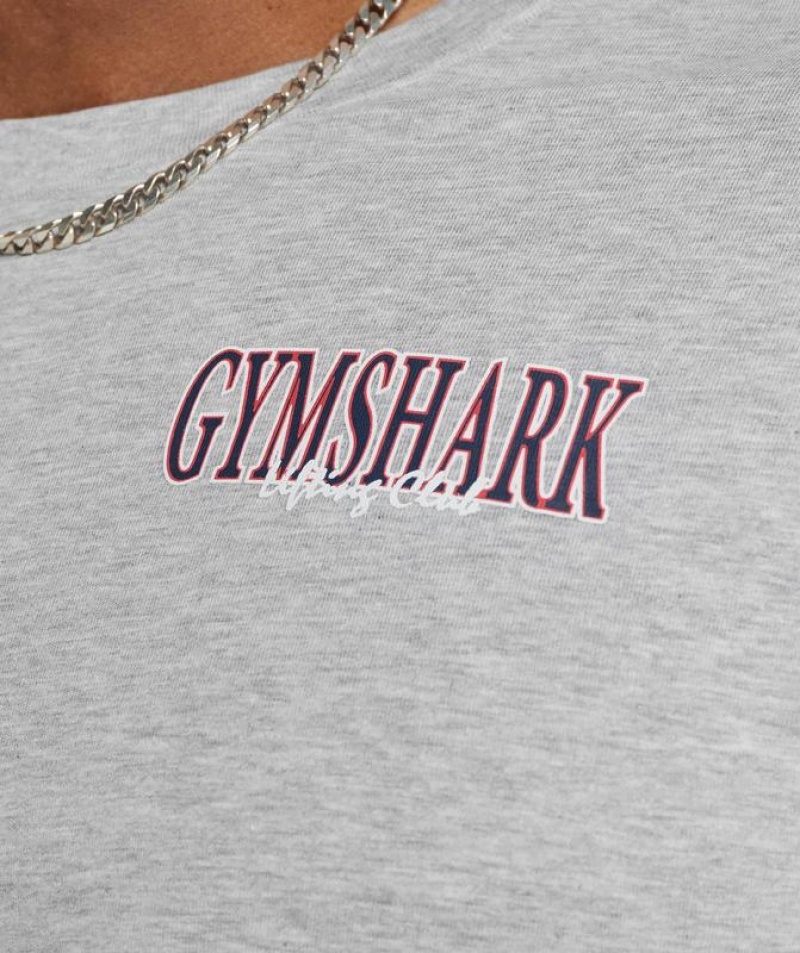 T-Shirts Gymshark Retrowave Crop T-Shirt Gris Claro | ZNEWU7684