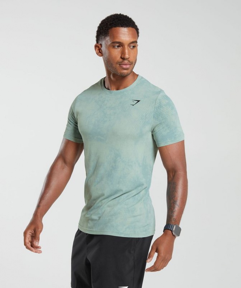 T-Shirts Gymshark Washed Seamless T-Shirt Azules | SNHYE3642